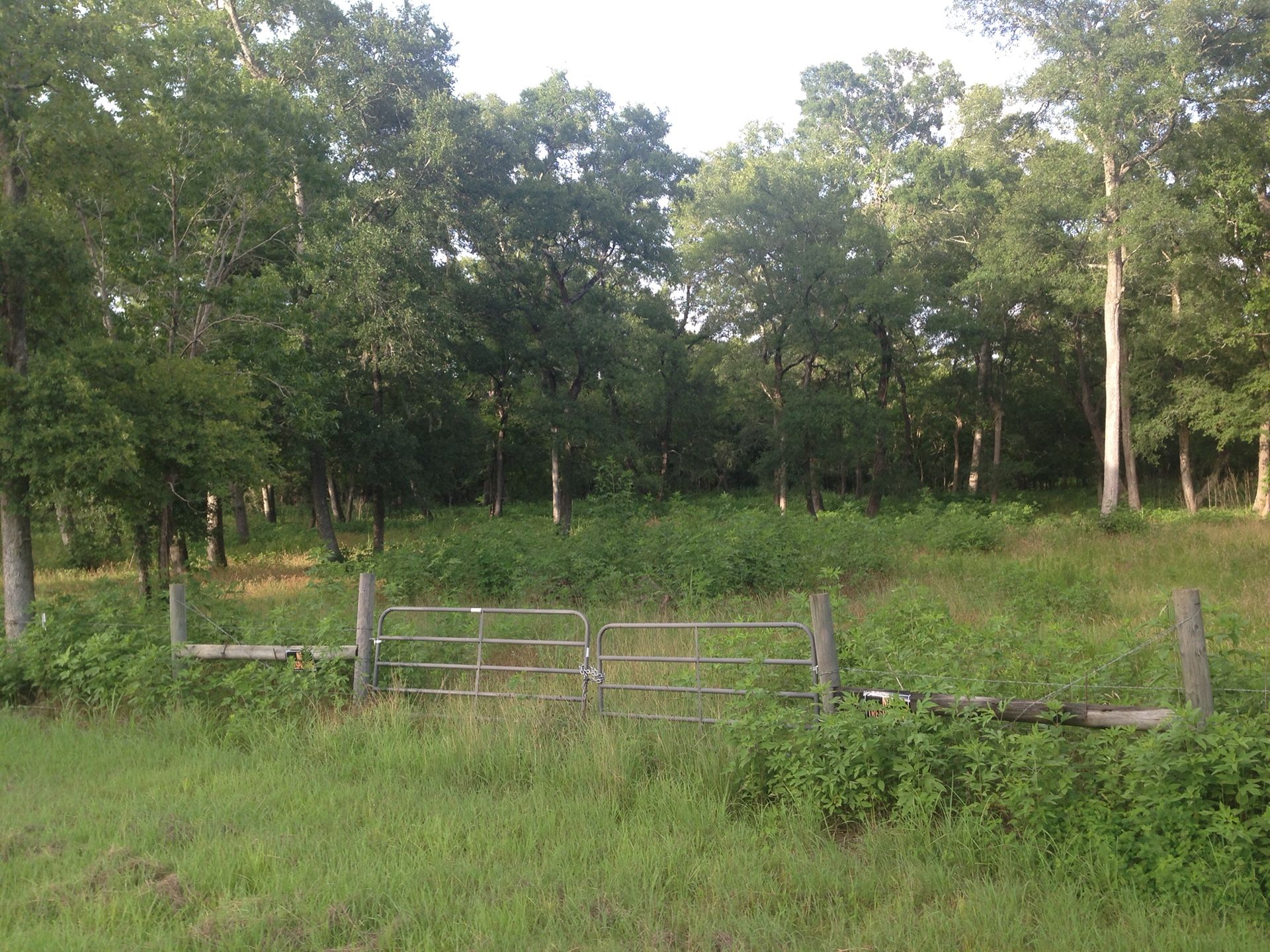 6 acres in beautiful private Tierra grande subdivision located in