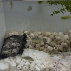 Aquarium decoration