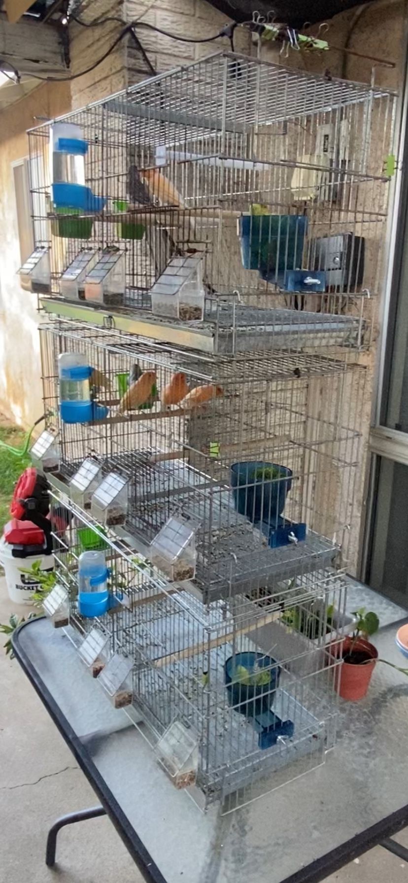 Cage