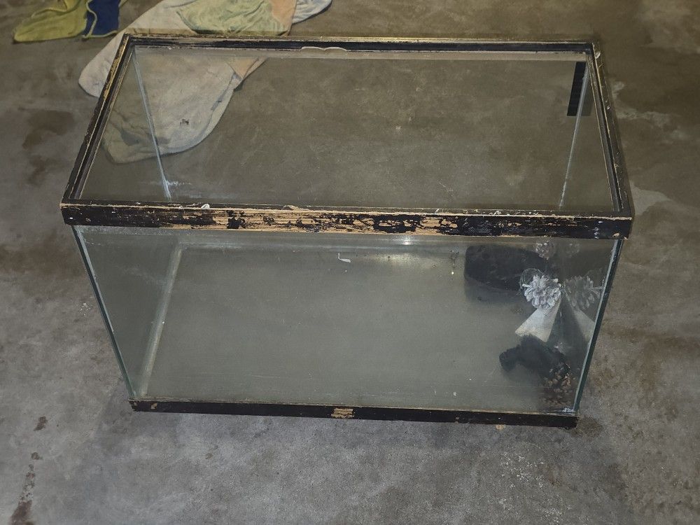 10 Gal Aquarium 