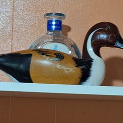 Vintage Wood Duck