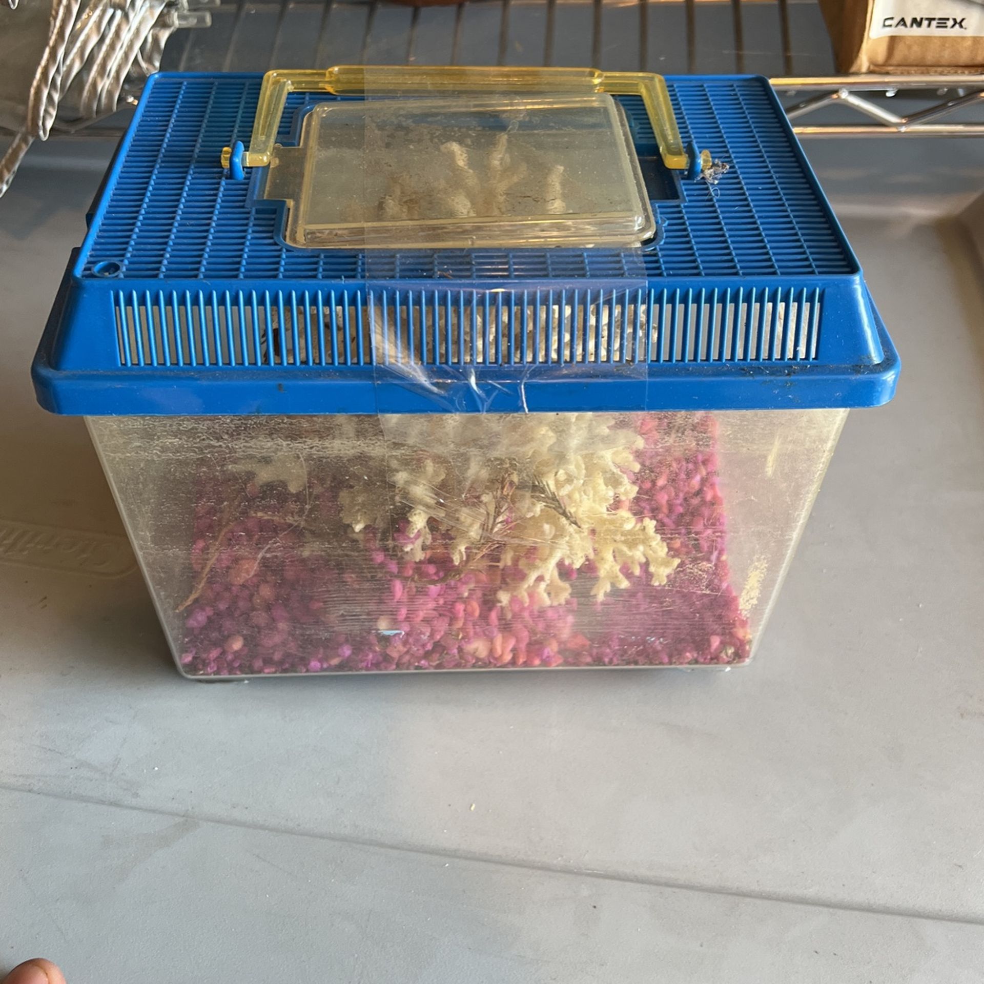 Aquarium for small Fish with Coral