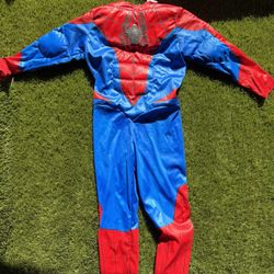 Spider-Man Halloween Costume