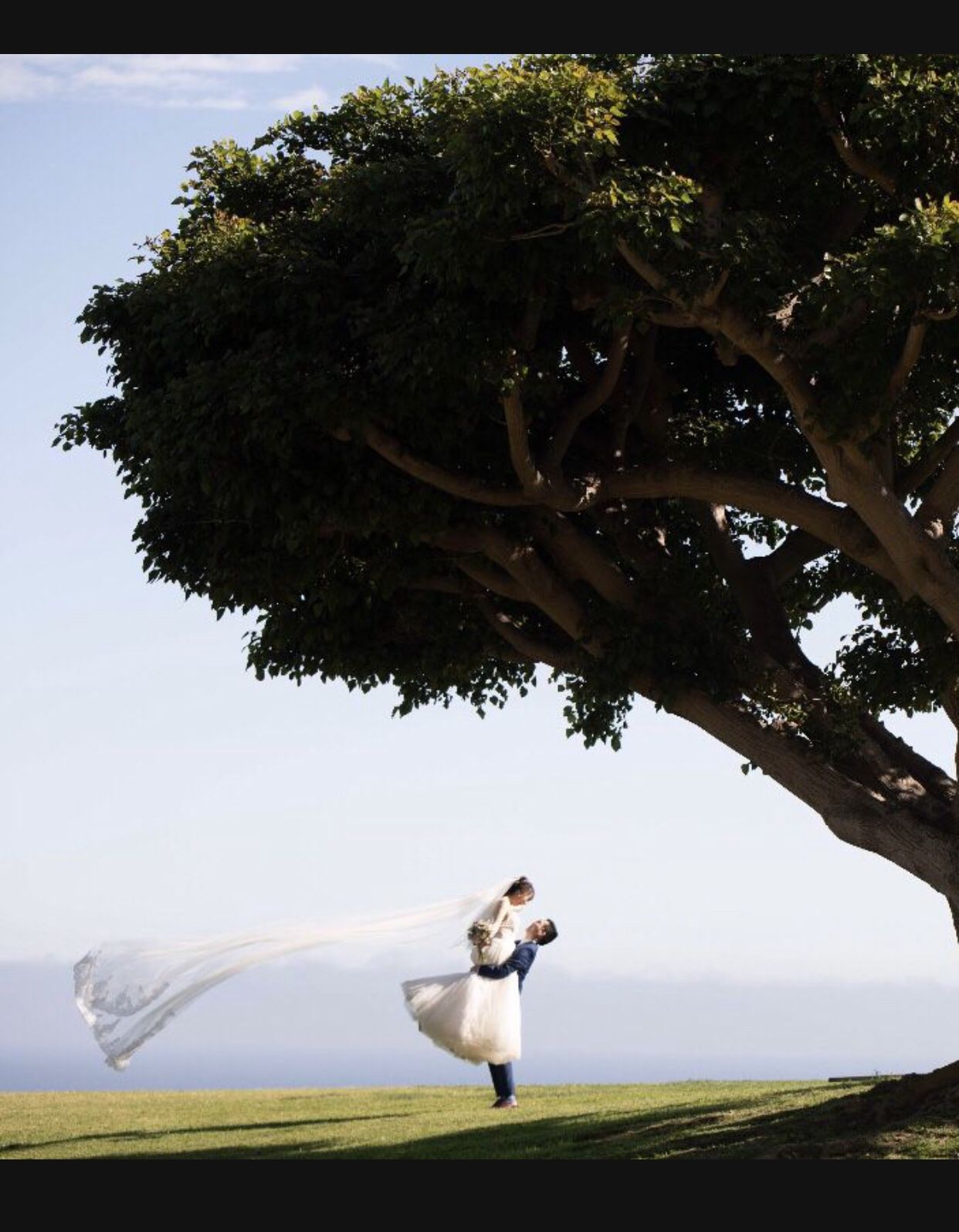 wedding dress with gorgeous veil