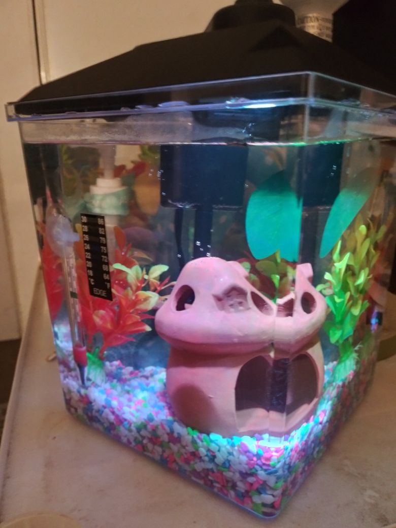 Fish tank aquarium pecera