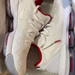 LeBron 16 Low Draft Night