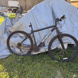 Mongoose Bike 