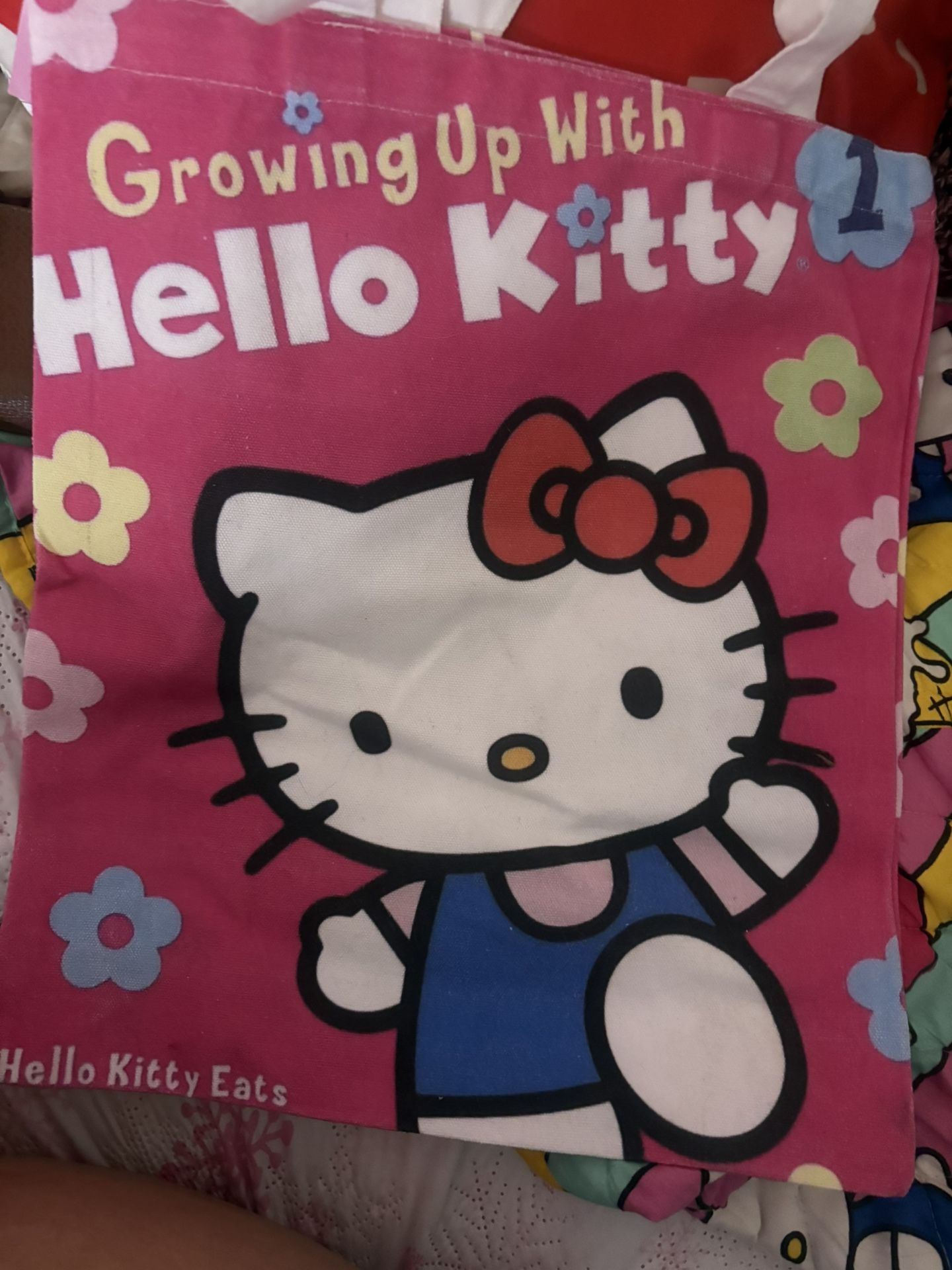Hello Kitty Bag