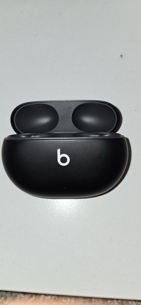 Beats Earbuds Case