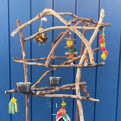 Parrot Perch Tree - The Perfect Hangout Spot For That Talkative Grey Or Sassy Amazon !! 👍🏼