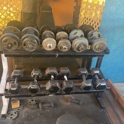 Weights  Bench