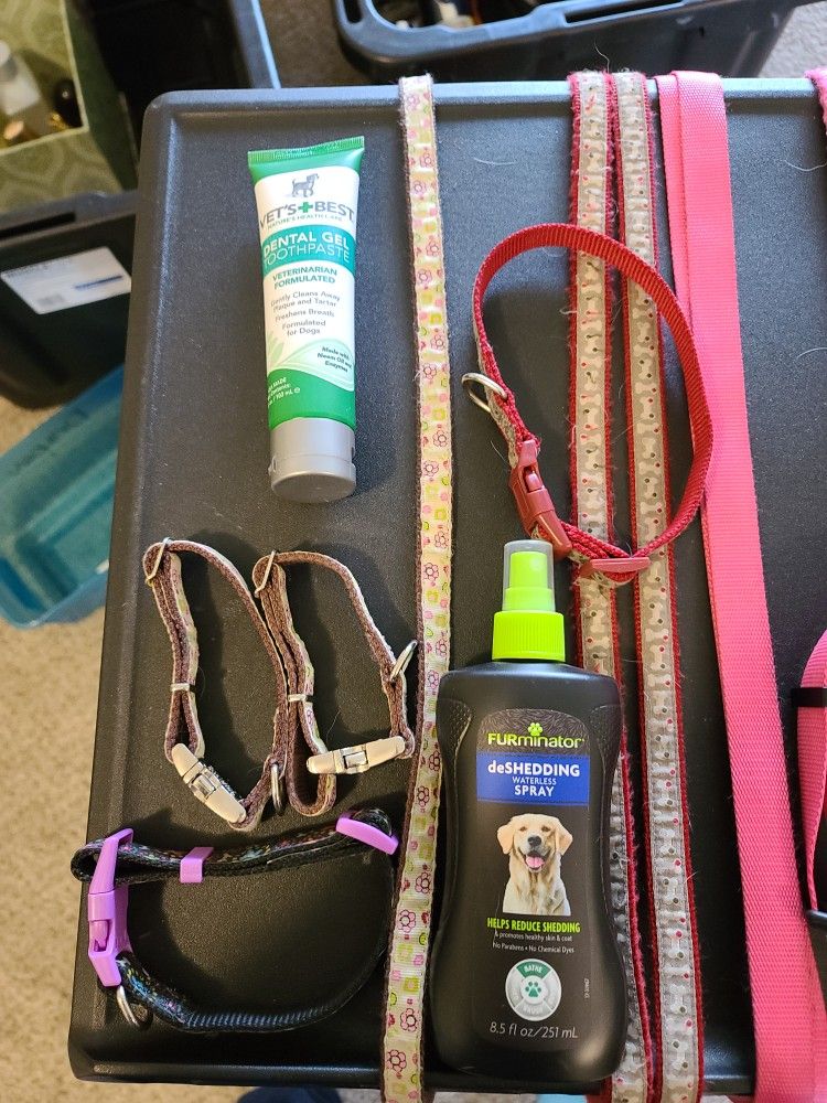 still available!  Doggie stuff, Pet care, Dog leashes, collars, de-Shedding spray,  dental gel