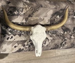 Bull Head Skull