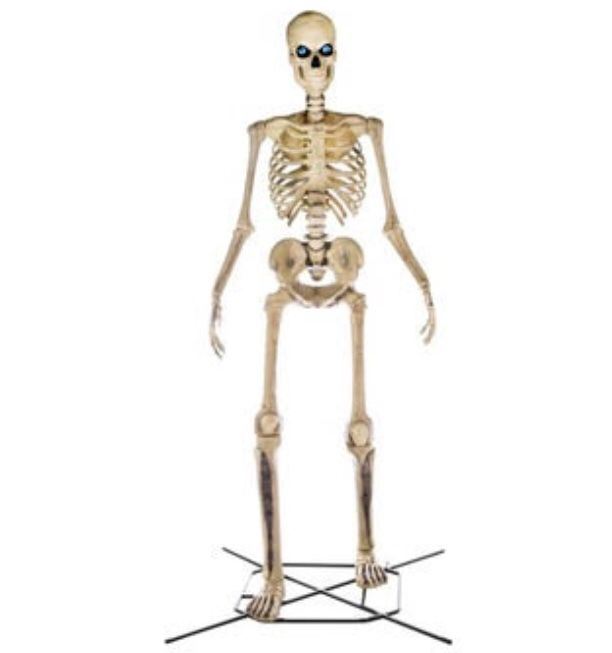 12-Foot Giant-Sized Skeleton With LifeEyes 12 Ft