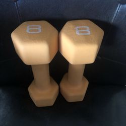 8Lb Weights 