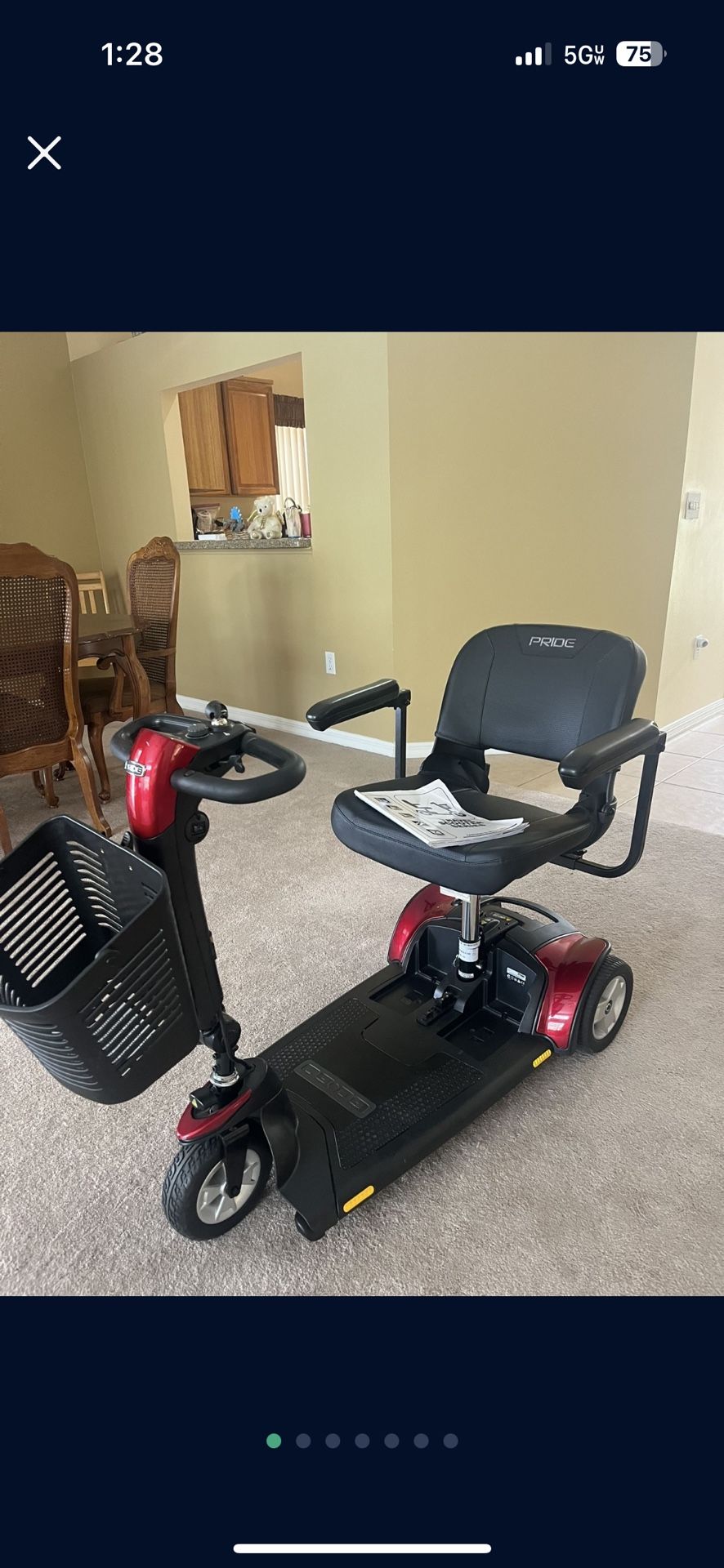 Go Go Pride Scooter