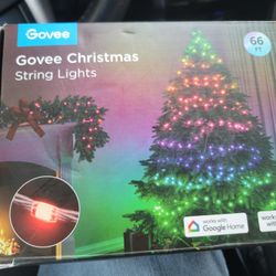 Govee Christmas Lights