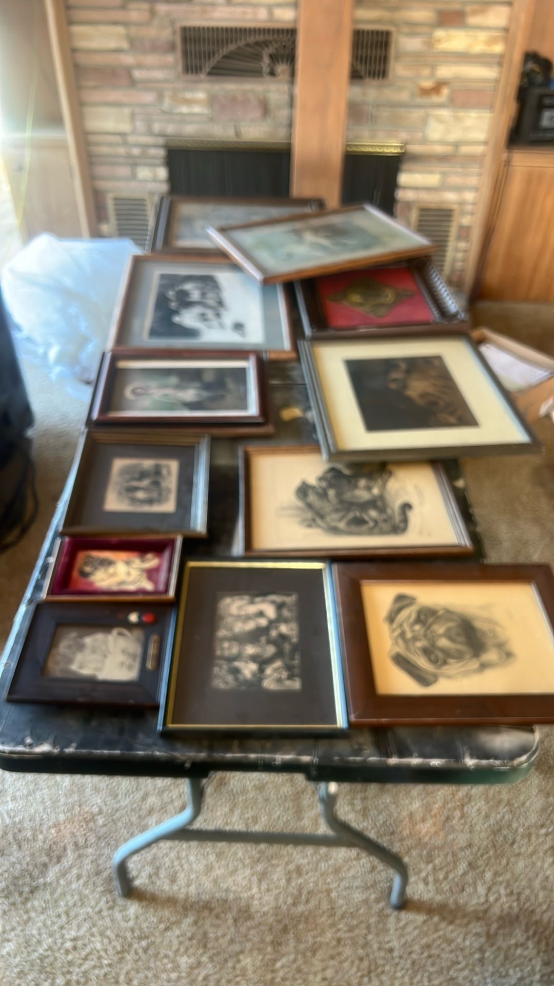 Vintage Pug Dog Pictures