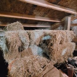 Seasoned Timothy Hay