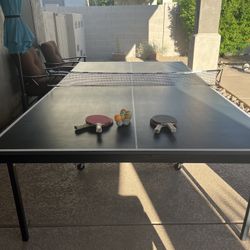 Ping Pong Table 