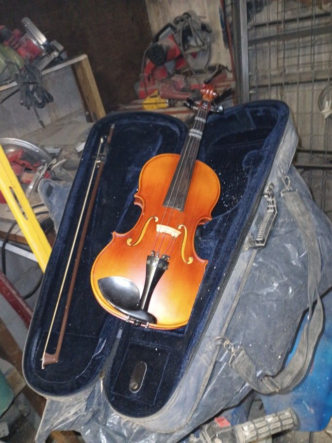 Violin