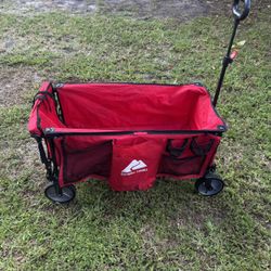 Carrito Playa 50$