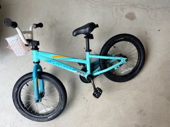 16 kid bike with coaster brakes