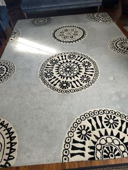 Area Rug 8x11