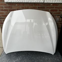 Q50 Hood