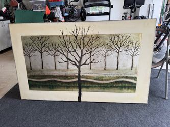 Framed Canvas Print
