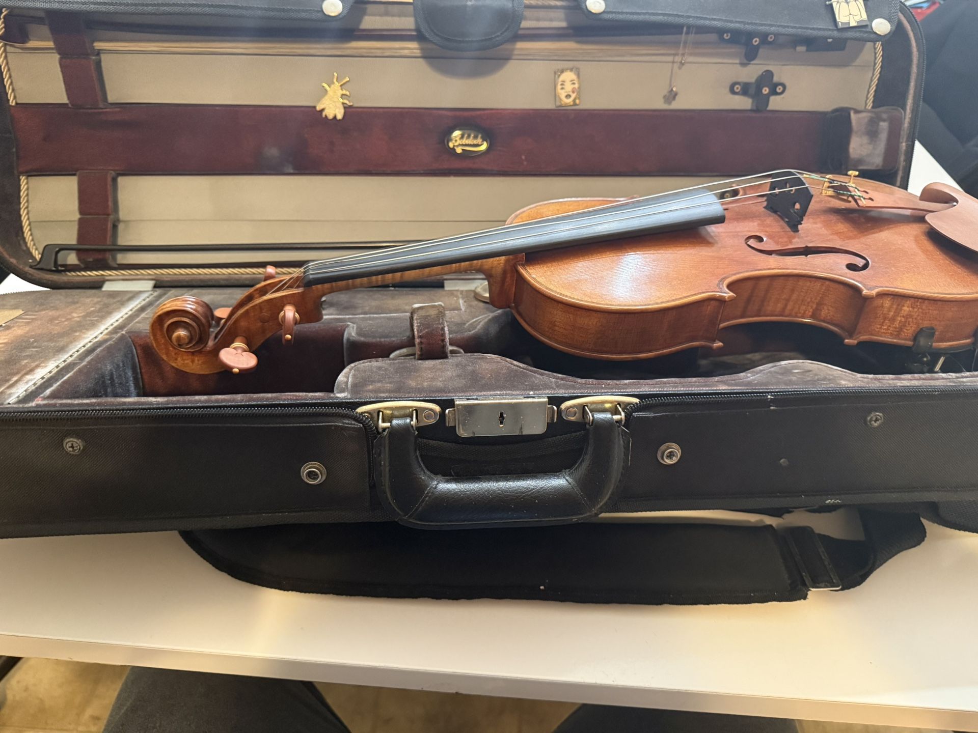 Snow Simona Violin With Premium Case And Accesories