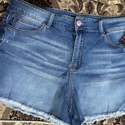 Women Shorts