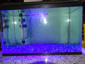 10 gal fish tank only