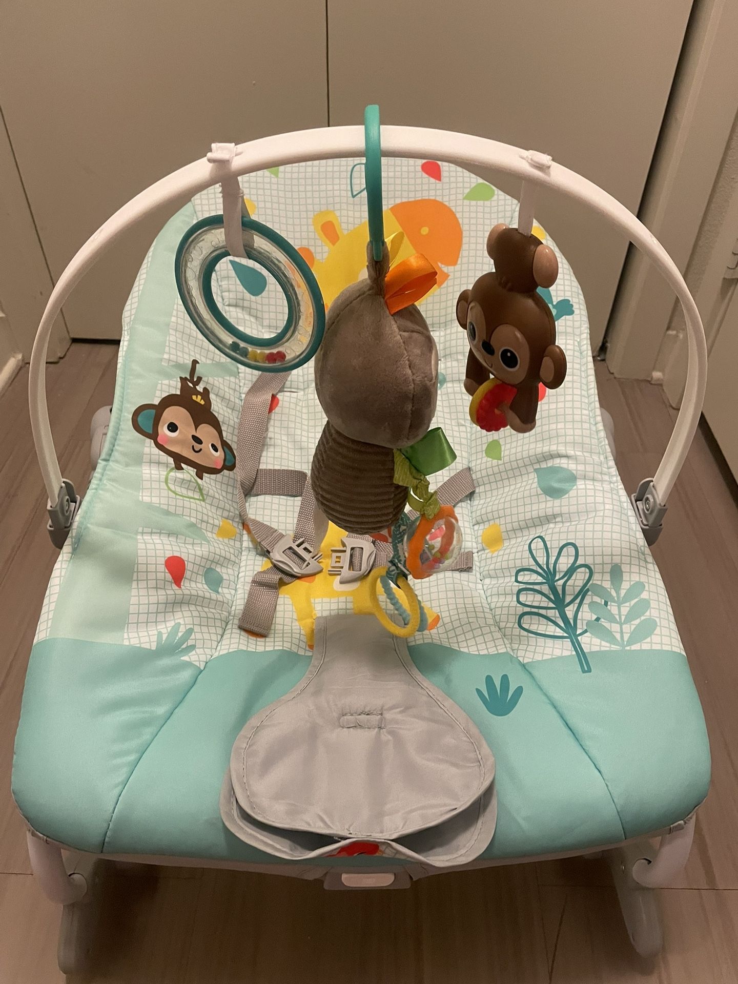 Baby Bouncer