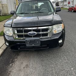 2008 Ford Escape