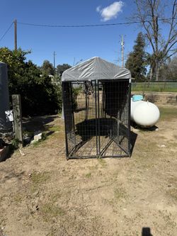 Outdoor Dog Cage