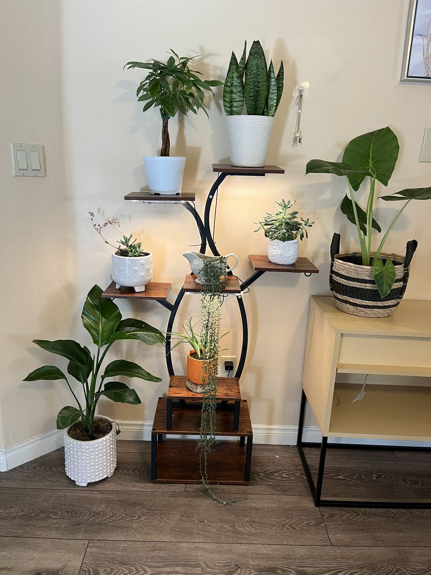 Plant Stand