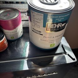 1 gallon of hot pink paint Behr
