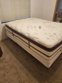 Queen electric bed