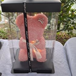 Valentines Pickup Bocaraton $50. Led Light Up 