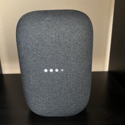Google Nest Assistant Speaker