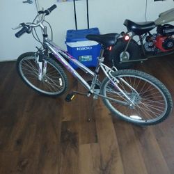 Womans Bike 35