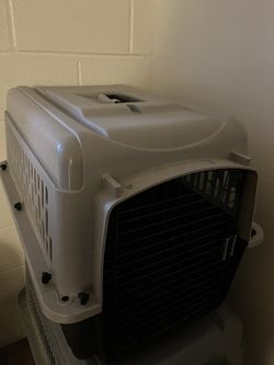 Medium Sized Dog Kennel