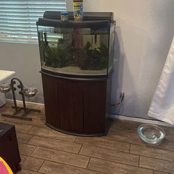 Fish Tank With All Accessories And Fish