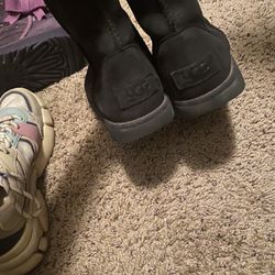 Uggs 