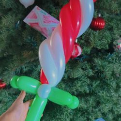 Balloon Twisting 🎈