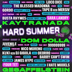 2 Day Wrist Band Hard Summer 2025
