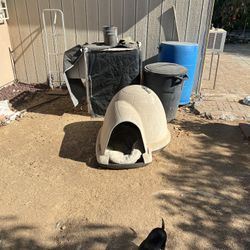 Dog House 