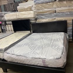 Queen Bed W Mattress 