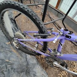 Diamondback Youth 24-in Mountain Bike